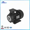 ELECTRIC MOTOR